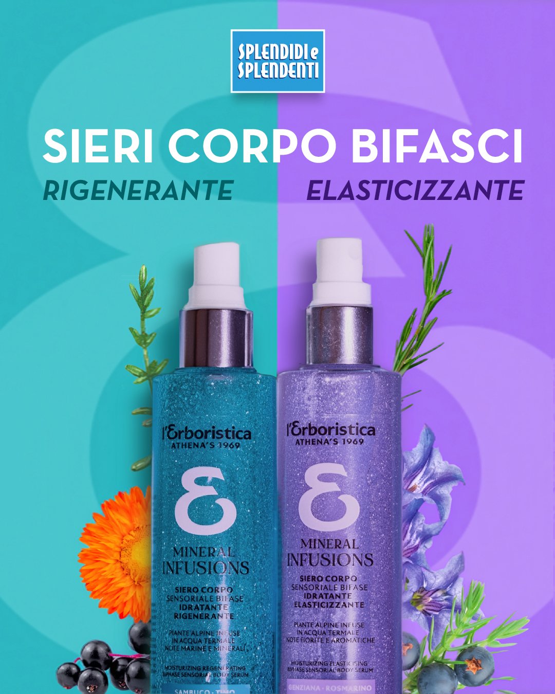 SIERI CORPO BIFASCI